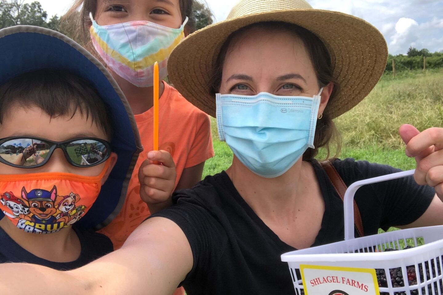 Maryland Strawberry Picking Update 2024