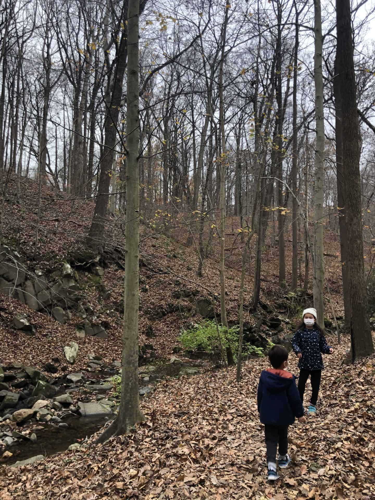 Soapstone Valley Park